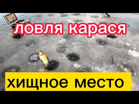Видео: Ловля карася в феврале. Кратковременный выход.