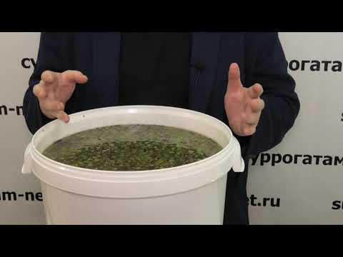 Видео: Тест № 16. Турбо дрожжи Pathfinder. Вкусная чача из винограда КИШМИШ