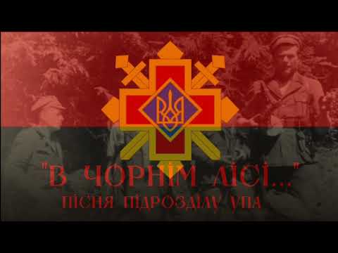 Видео: "В Чорнім лісі..." - повстанська пісня | "In the Black forest..." - UIA song