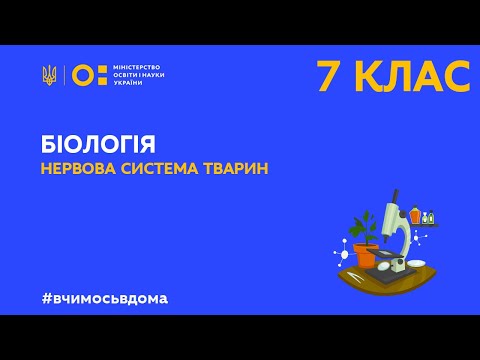 Видео: 7 клас. Біологія. Нервова система тварин(Тиж.2:ВТ)