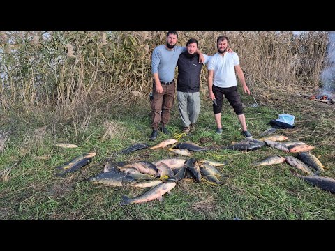 Видео: ШОК РЫБАЛКА. Рыбалка на сазана и карпа. 2 часть 