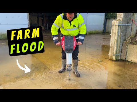 Видео: Наш двор затопило! Вот как я его осушил!