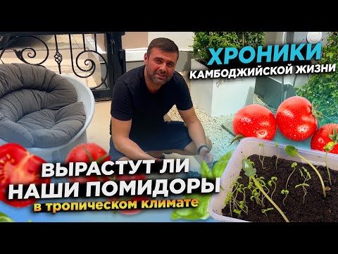 Видео: Хроники Камбоджийской жизни Вырастут ли Наши Помидоры в тропическом климате Chronicles of Cambodia
