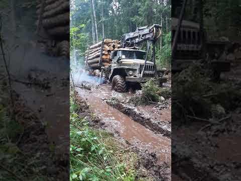 Видео: Урал лесовоз