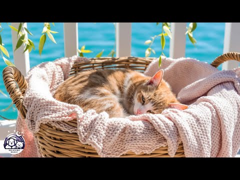 Видео: Расслабляющая музыка для кошек, борющихся с тревогой. Глубокий успокаивающий звук для тревожных к...