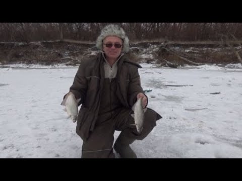 Видео: Зимняя рыбалка  . Река Дон  .  19 декабря 2020 .
