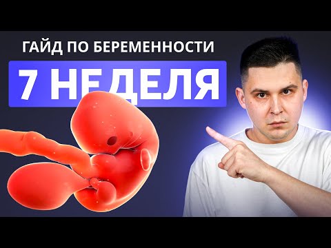 Видео: 7 НЕДЕЛЯ БЕРЕМЕННОСТИ | Беременность по неделям с доктором Ченчак