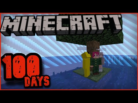 Видео: 100 ДНЕЙ ВЫЖИВАНИЯ в БАРЬЕРЕ НО...... »» Minecraft