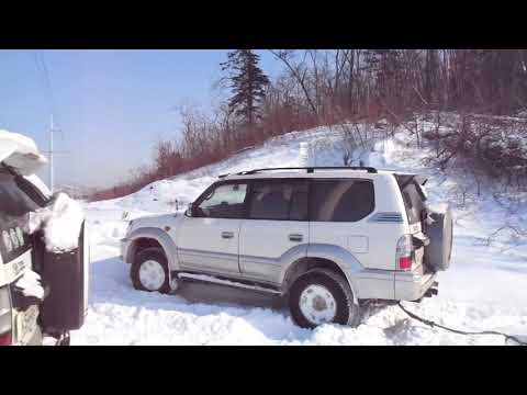 Видео: мы нашли снег)