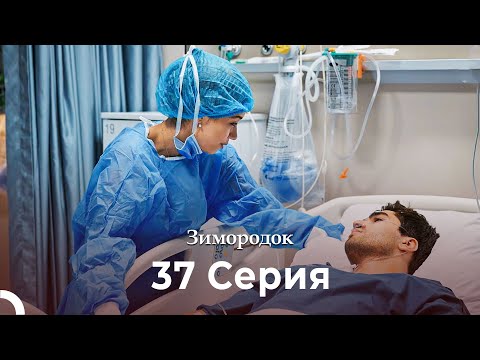 Видео: Зимородок 37 Cерия (Русский дубляж) (4K)