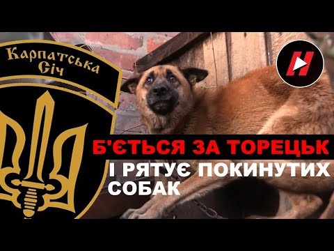 Видео: 49-й БАТАЛЬЙОН "КАРПАТСЬКА СІЧ" б'ється за Торецьк і рятує покинутих собак