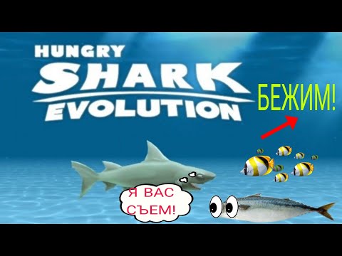 Видео: АКУЛА ЕСТ ВСЕ В МОРЕ В ИГРЕ  HUNGRY SHARK EVOLUTION #1