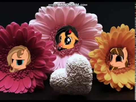 Видео: |Пони клип|  ~3 сестры~ или ~Аманда, Линда и Роуз~