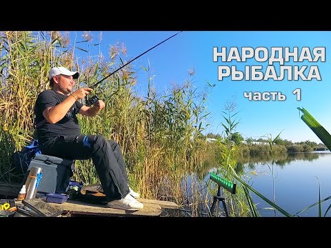 Видео: Ловим рыбу на творог. Народная рыбалка. Часть 1.