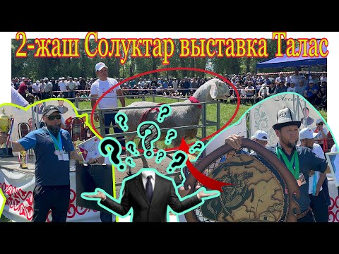 Видео: 2-Июнь 2024 Выставка Талас 2-Жаш Солук койлор / ЛАЙК БАСЫП КЕТ /@BARPYKG