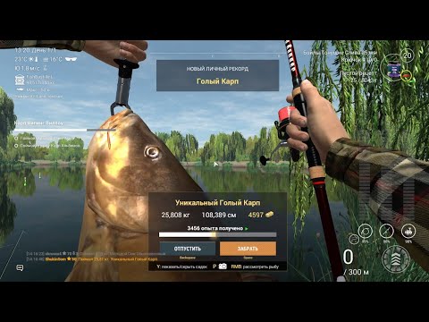 Видео: Fishing planet. Исследование Випинг Виллоу I. Исследование Випинг Виллоу II. Карп Випинг Виллоу.