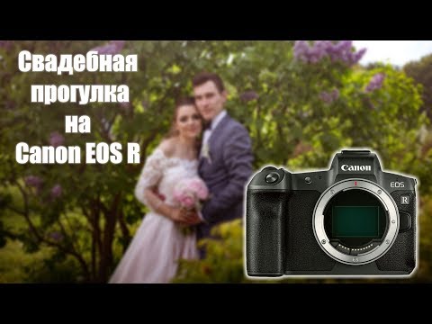 Видео: Особенности свадебной съёмки на Canon R. Прогулка с бекстейджем.
