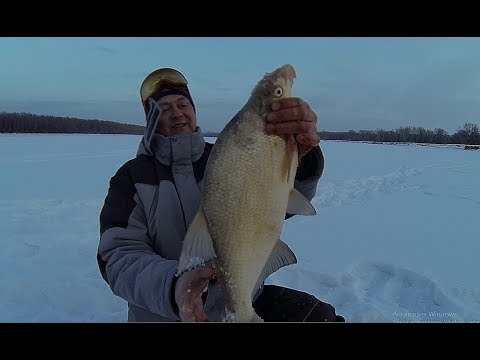 Видео: БЕЗМОТЫЛКА ПРОТИВ КОМБАЙНА!!!Крупный лещ!Крупная плотва!Карась,окунь!Рыбалка на комбайны.