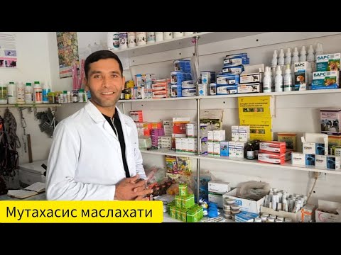 Видео: КУЙ ВА МОЛЛАРДА ХОЗИРДА УЧРАЙДИГАН КАСАЛЛИКЛАР