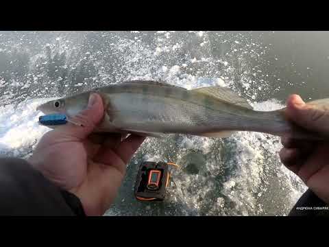 Видео: Первый лёд сезон 2022-2023!Первый выезд за судаком на овх.#первыйлед#рыбалка2022#fishing#zander#