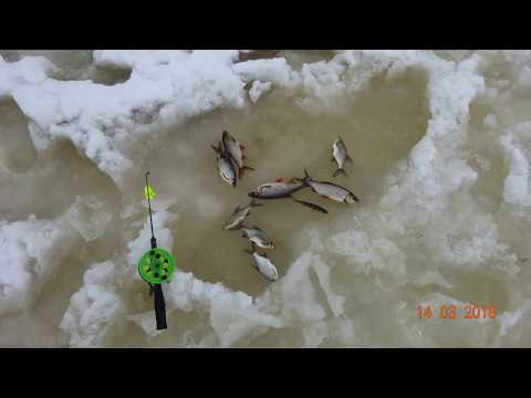 Видео: д.Богданово рыбалка на Десногорском водохранилище 12-14 марта 2018г