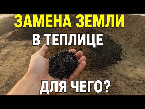 Видео: 15 см нового грунта: сколько земли нужно и зачем менять старую? #землядел #agro 