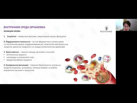 Видео: Лекция 44  Кровь  Иммунитет
