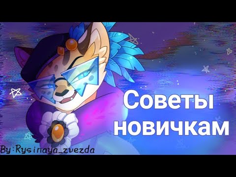 Видео: Советы новичкам ☄️|Castle cats|by:𝚁𝚢𝚜𝚒𝚗𝚊𝚢𝚊_𝚣𝚟𝚎𝚣𝚍𝚊