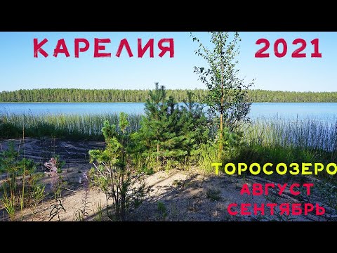 Видео: Карелия-2021. Торосозеро. Август-сентябрь. 1 часть.