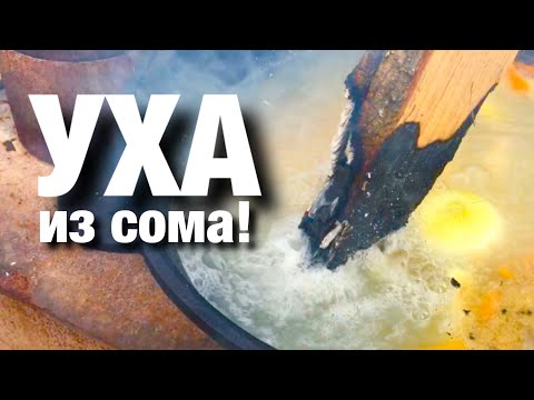 Видео: Уха из сома. Пошаговый рецепт.