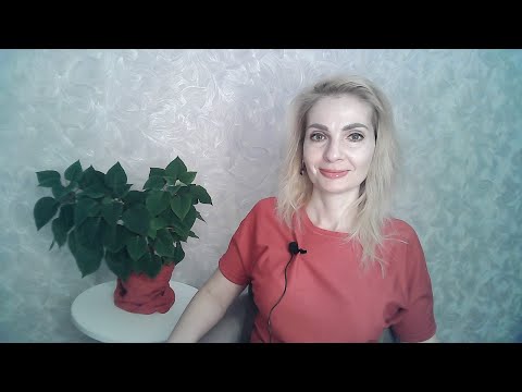 Видео: Деньги - это результат вашего взаимодействия с людьми