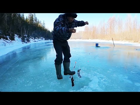 Видео: ГОРНАЯ РЫБАЛКА. Ленок зашевелился и клев пошел. Как ловить ленка зимой. Зимняя рыбалка.