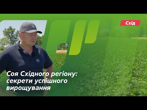 Видео: Соя Східного регіону: секрети успішного вирощування // Досвід. АгроАрена Схід