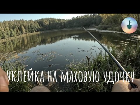 Видео: Уклейка на маховую удочку в сентябре