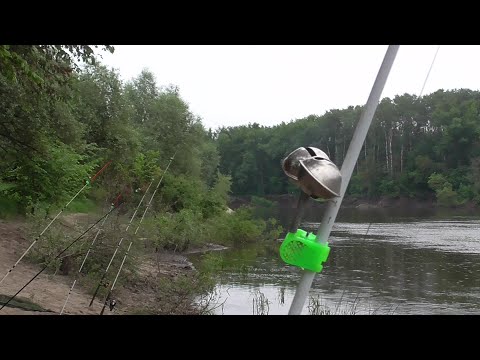 Видео: КАРАСЬ САЗАН НА ПРУЖИНЫ МАЙ 2023 р Дон Выезд с ночёвкой