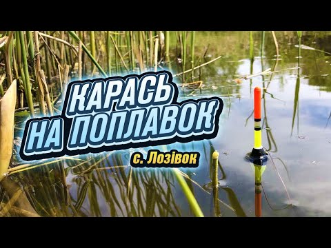 Видео: Рибалка на поплавок в травні 2023. Рибалка в Черкасах. с.Лозівок.
