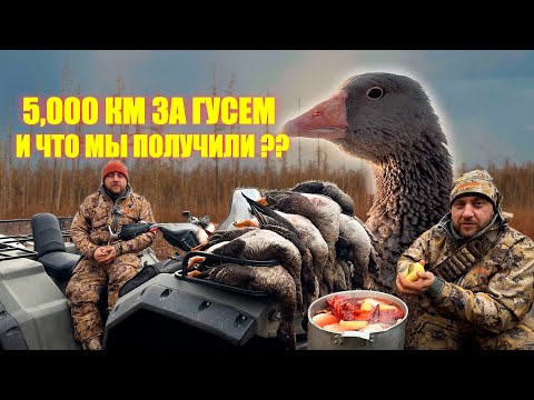 Видео: СТРАТЕГИЯ ЯКУТСКИХ ОХОТНИКОВ. ПОТЕРЯЛИ ТОВАРИЩА.СЪЕЛИ ГУСЯ