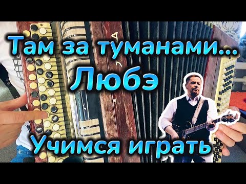 Видео: УЧИМСЯ ИГРАТЬ "Там за туманами" ЛЮБЭ НА БАЯНЕ за 5 минут