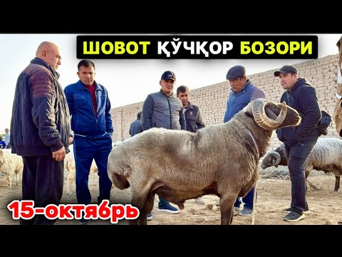 Видео: ШОВОТ ҚЎЧҚОР БОЗОРИ ХОРАЗМ 15-октября 2025 г.