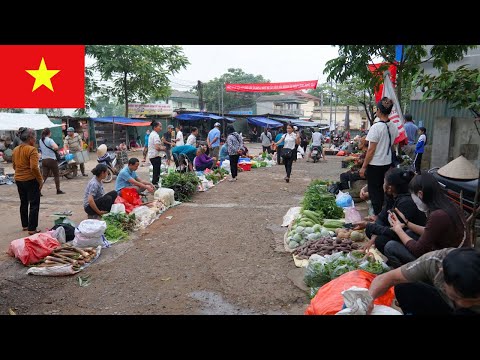 Видео: Исследуем местные рынки Вьетнама: рынок Сан недалеко от Ханоя