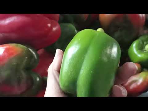 Видео: Заморозки, Спасаем перец !!!
