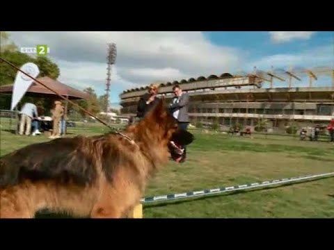 Видео: Време за губене - 07.11.2020 по БНТ