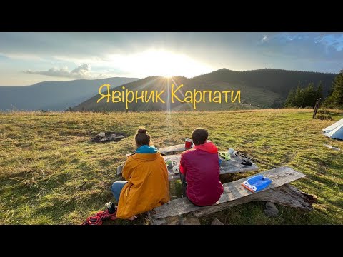 Видео: Похід Карпатами.Полонина Явірник та Горган-Явірник.Грибний сезон