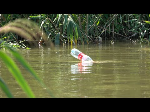 Видео: СУМАСШЕДШИЙ КЛЁВ САЗАНА НА БУТЫЛКИ! УЕХАЛИ С ОТЦОМ В САМЫЕ ДЕБРИ ВОЛЖСКОЙ ДЕЛЬТЫ. Утопил камеру.