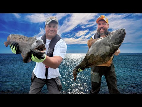 Видео: Охота на норвежского палтуса и зубатку во фьордах