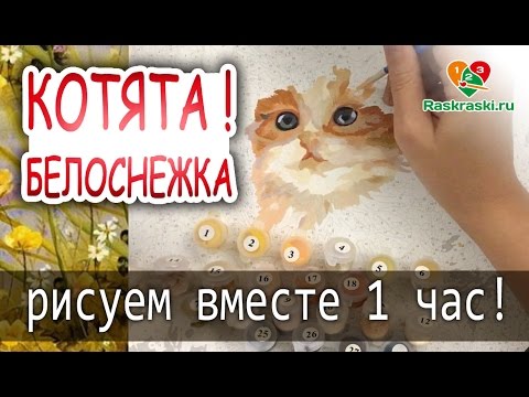 Видео: Растушевка шерсти! 🎨Раскраска по номерам "Котята"