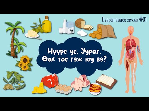 Видео: Уураг, нүүрс-ус, өөх тос гэж юу вэ?