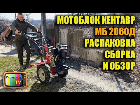 Видео: Мой верный помощник в огороде мотоблок КЕНТАВР мб 2060д сборка и обзор