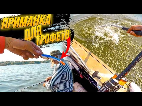 Видео: Знайшли ЛОГОВО МАМОЧОК, ВОНО не влазить в підсак, ТОП приманка на КРУПНЯКА, Трофейна РИБАЛКА