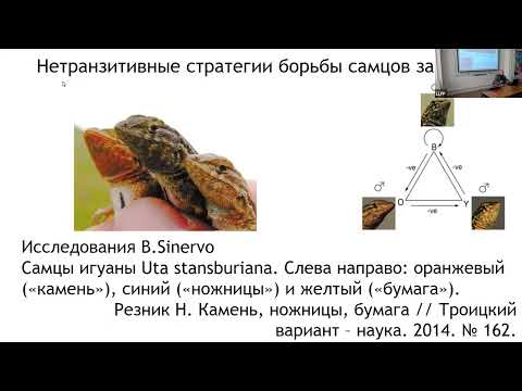 Видео: А.Н.  Поддъяков НИУ ВШЭ, Нетранзитивность превосходства как поле междисциплинарных исследований